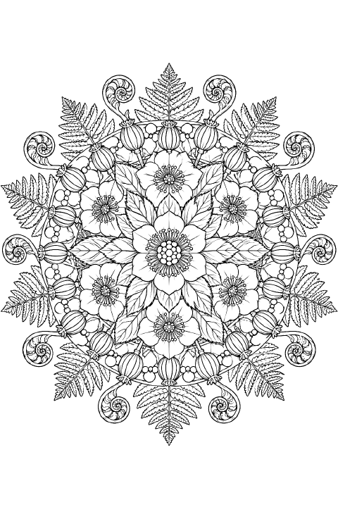 A circular floral mandala with a central hellebore blossom surrounded by concentric rings of five-petaled flowers, curled fern fronds, and oval seedpods linked by looping stems.