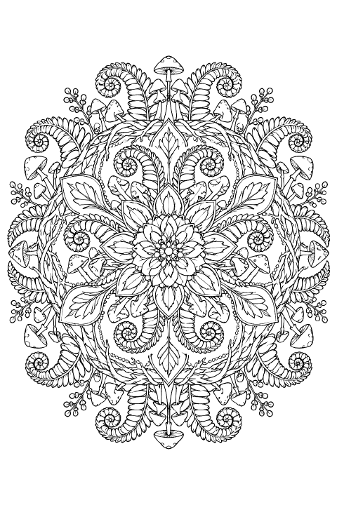 Mandalas and Patterns coloring page example