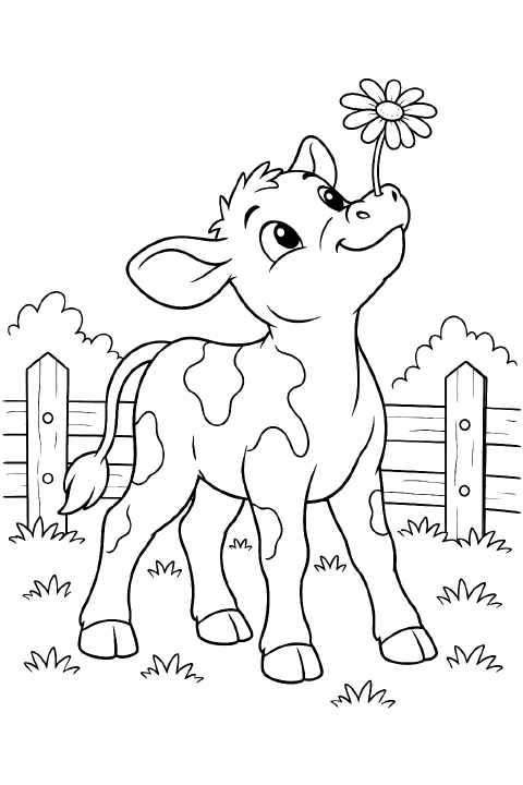A smiling cartoon calf with large spots balances a single daisy on its nose beside a short wooden fence and two tufts of grass.
